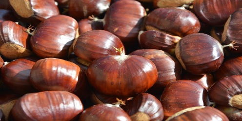 Castagne